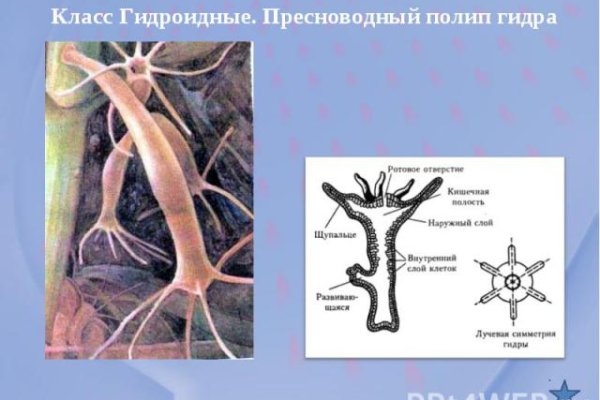 Ссылка на кракен в тор браузере kr2web in