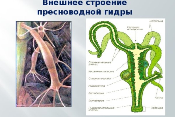 Кракен даркнет тг