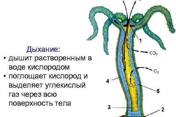 Кракен купить меф