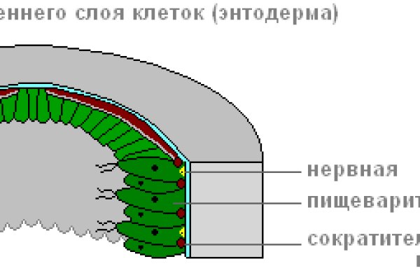 Кракен тор ссылка онлайн